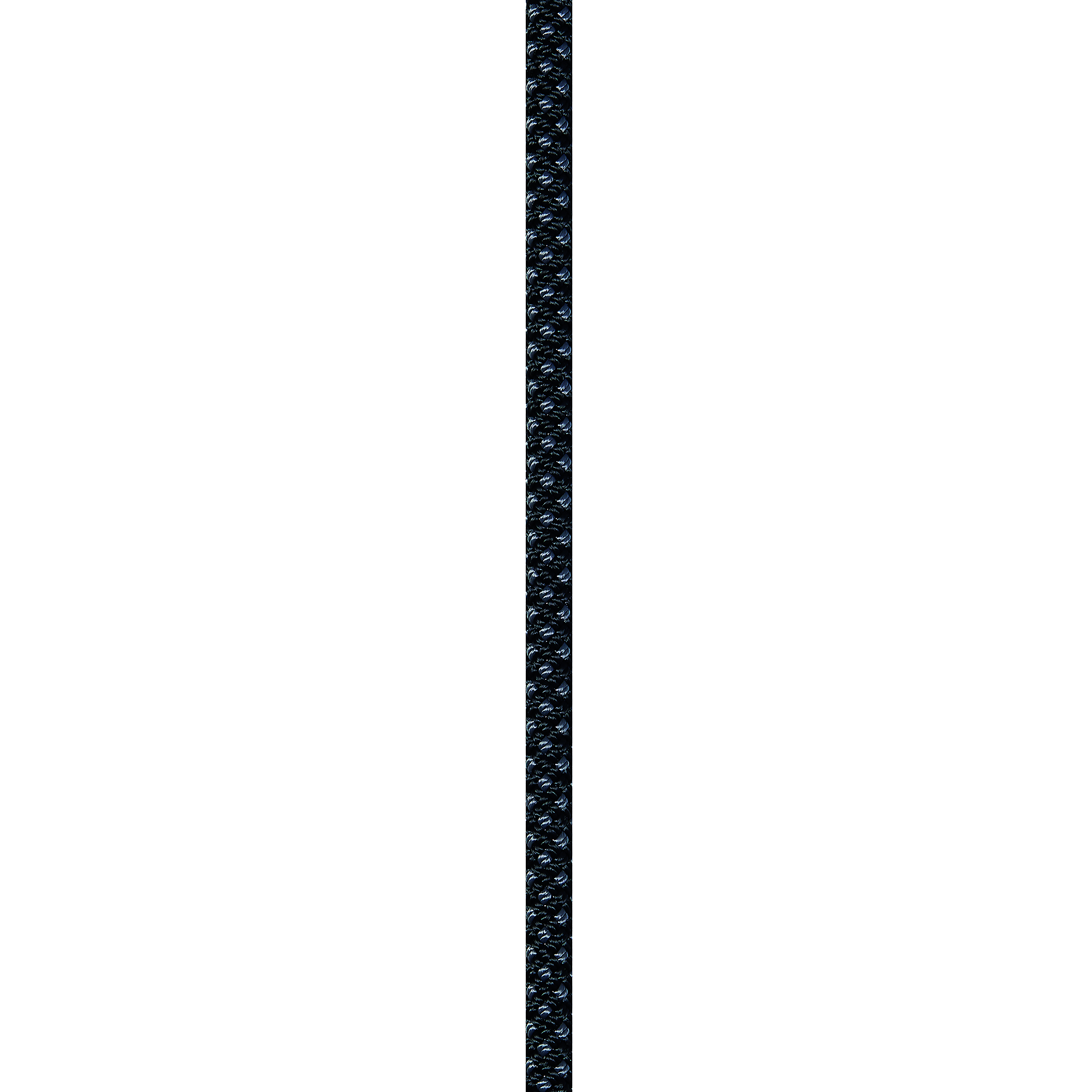 Petzl, RAY rope 11mm 200ft. black ANSI NFPA, Model# R100AA05